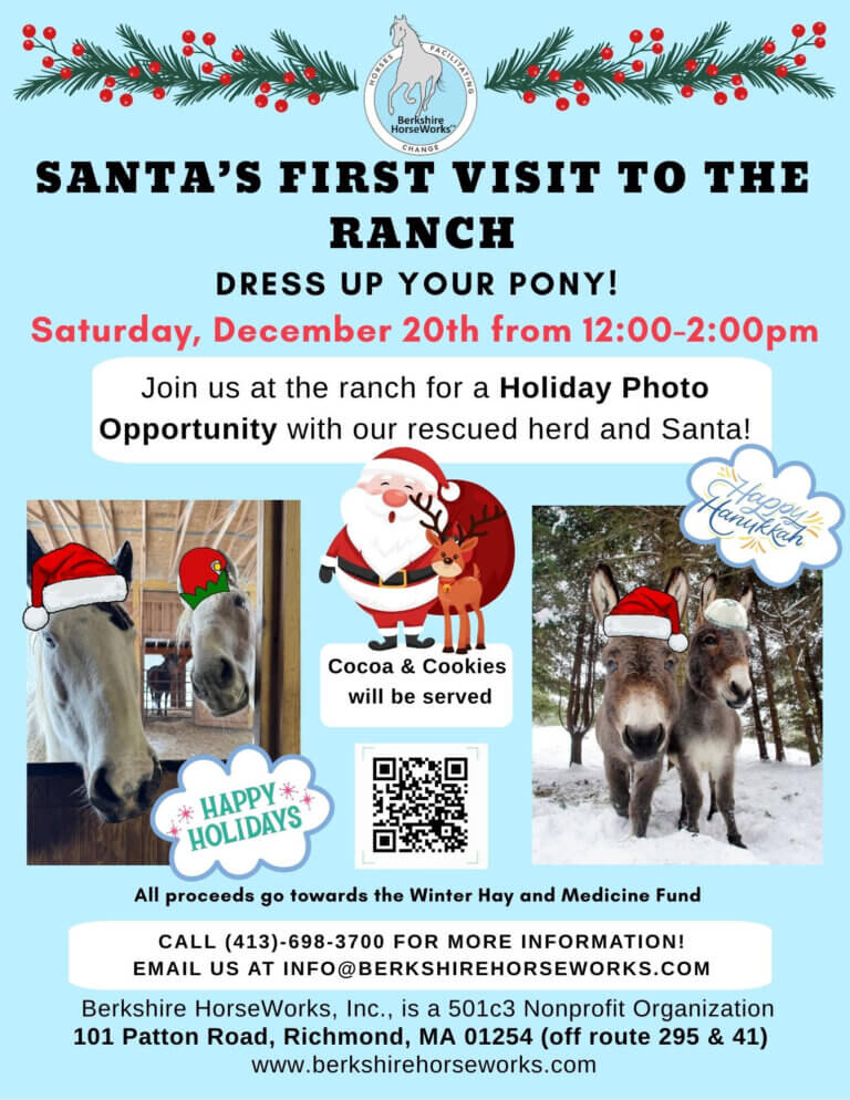 Bekshire Horseworks Santa Santa to visit Berkshire HorseWorks