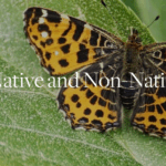 Intro to Native Plants at BBG