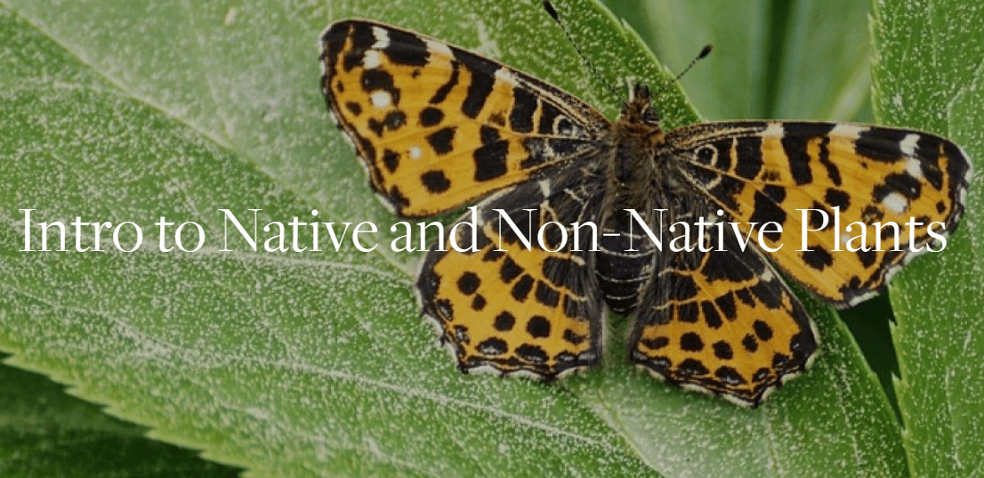 Intro to Native Plants at BBG