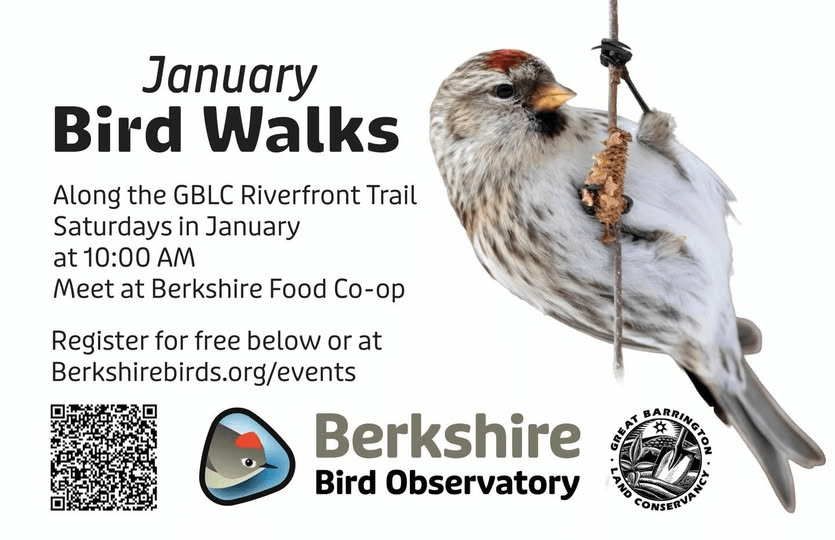 January bird walks