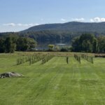 Plein air painting at Balderdash Cellars for ArtWeek