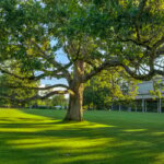 Boston Pops at Tanglewood