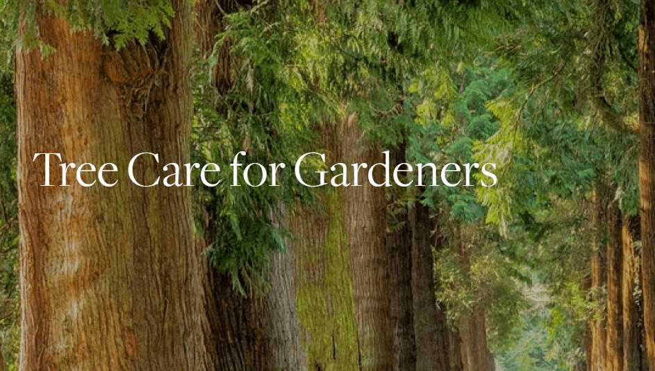 tree care for gardners at BBG