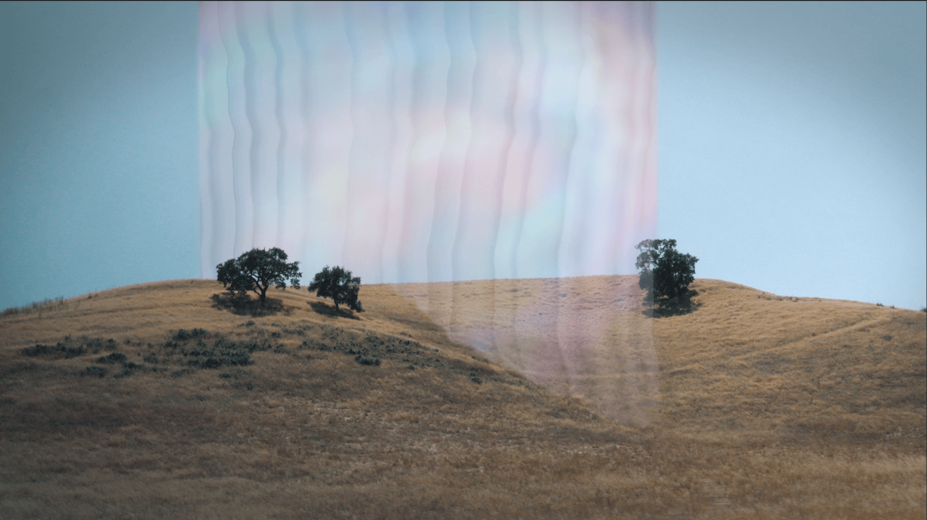 Laurent Grasso opening reception