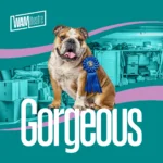 Gorgeous by WAM Theatre