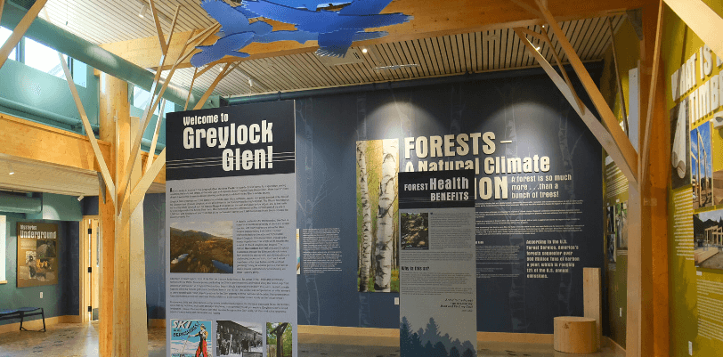 Greylock Glen winter tree identification