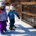 free family snowshoeing event at Arrowhead