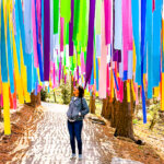 Senior woman on walking path through evergreen trees and below vibrantly-colored hanging ribbons at Naumkeag, Stockbridge, Berkshire County, Massachusetts, USA - April 22, 2025. Naumkeag was a creation of the Gilded Age inherited in 1929 by Mabel Choate and transformed with landscape architect Fletcher Steele into magnificent gardens.