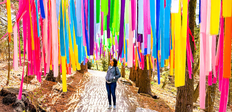 Senior woman on walking path through evergreen trees and below vibrantly-colored hanging ribbons at Naumkeag, Stockbridge, Berkshire County, Massachusetts, USA - April 22, 2025. Naumkeag was a creation of the Gilded Age inherited in 1929 by Mabel Choate and transformed with landscape architect Fletcher Steele into magnificent gardens.