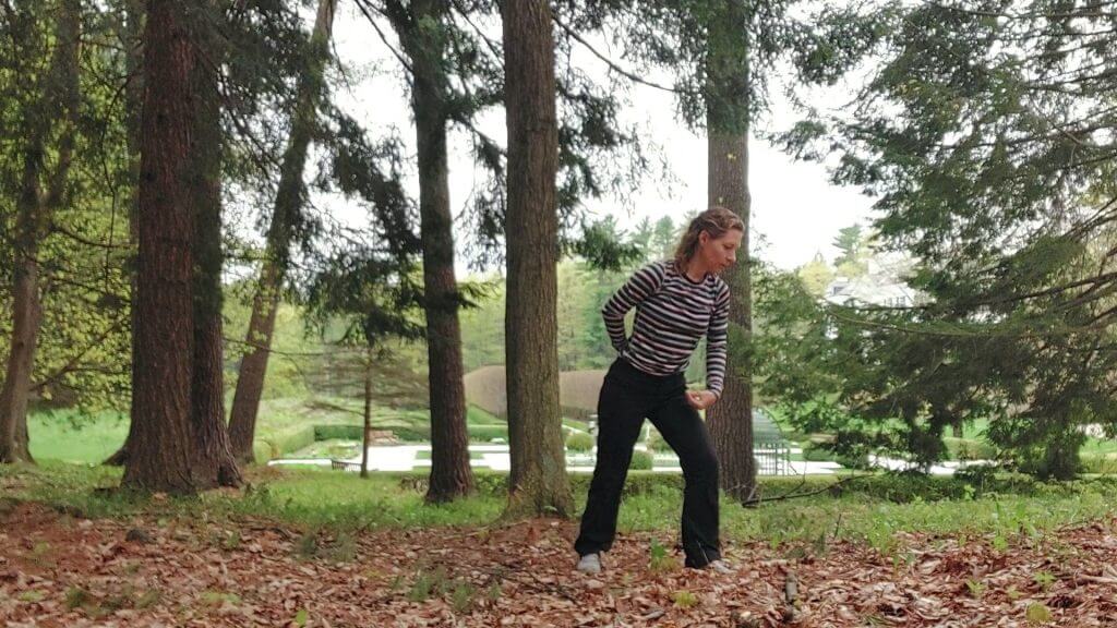 forest bathing and tai chi at The Mount