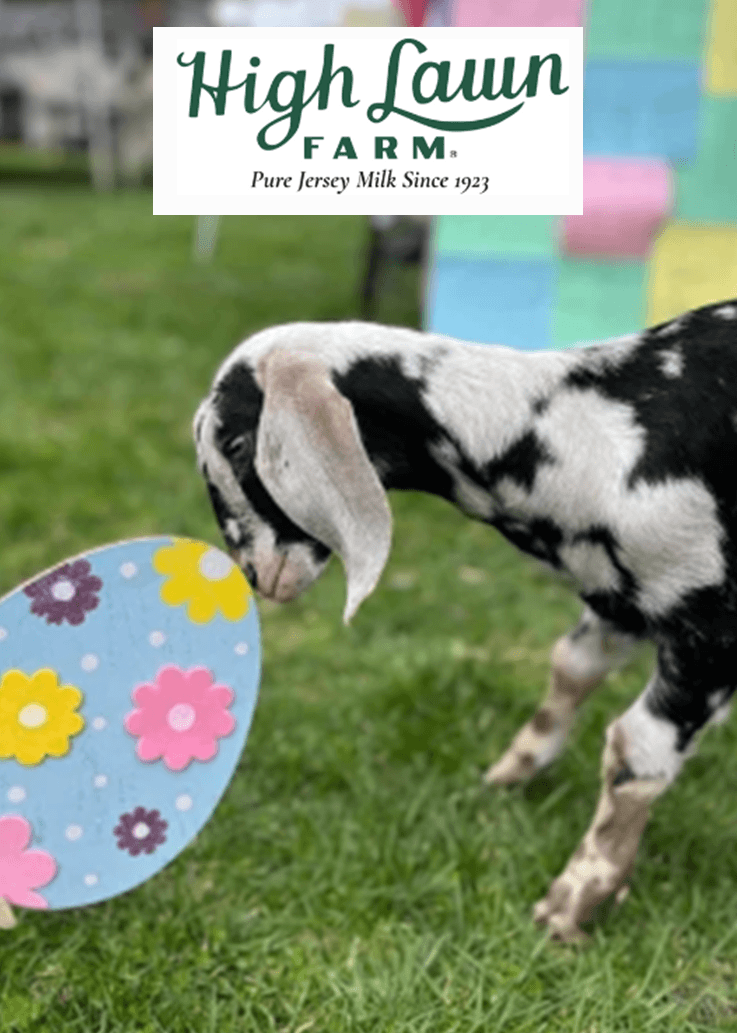 High Lawn Farm Easter Egg Hunt High Lawn Farm Easter Egg Hunt