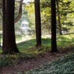 In the Footsteps of Edith, a thoughtful wallk