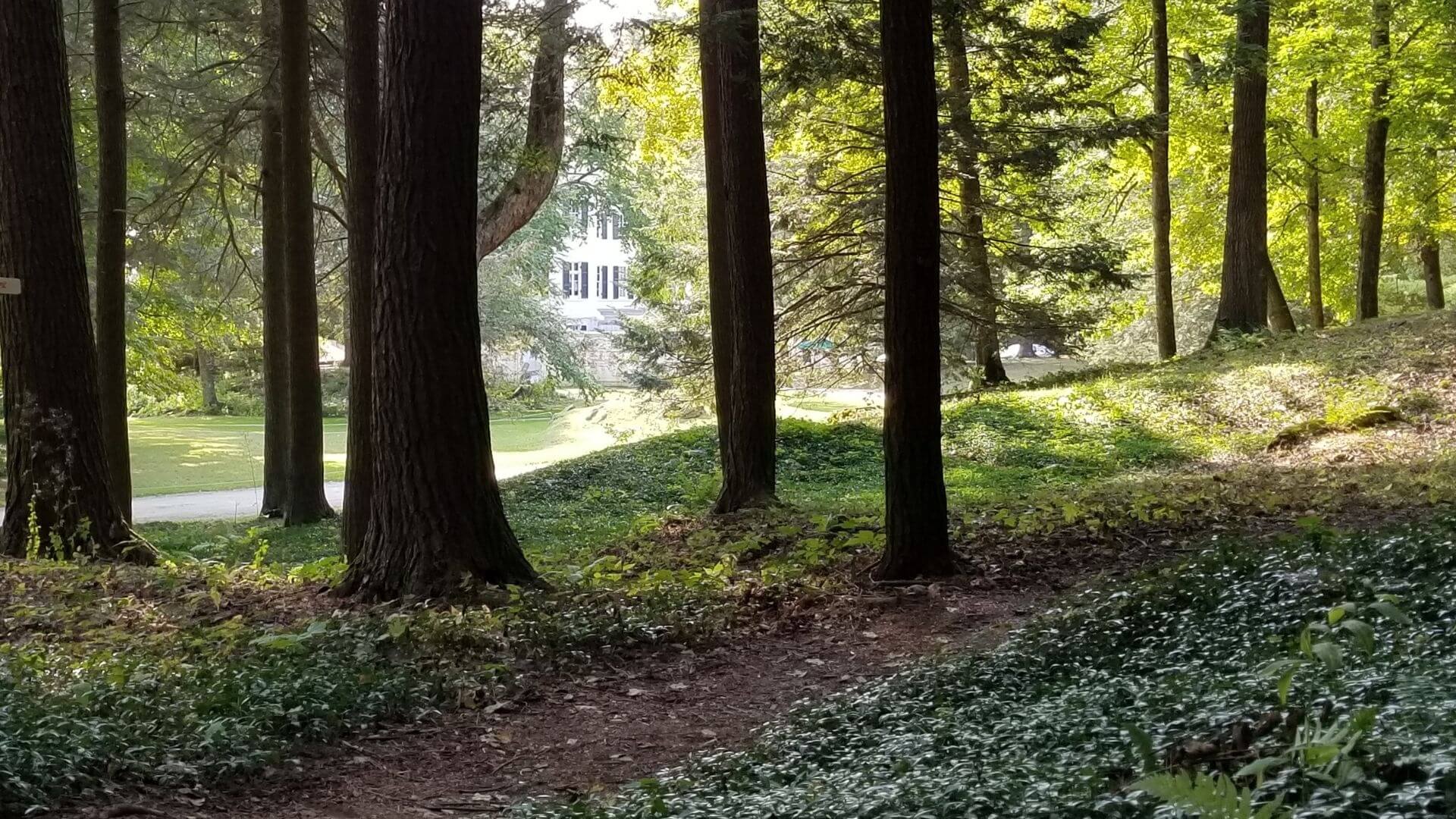 In the Footsteps of Edith, a thoughtful wallk