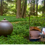 monumental vessels featured in exhibition at BBG