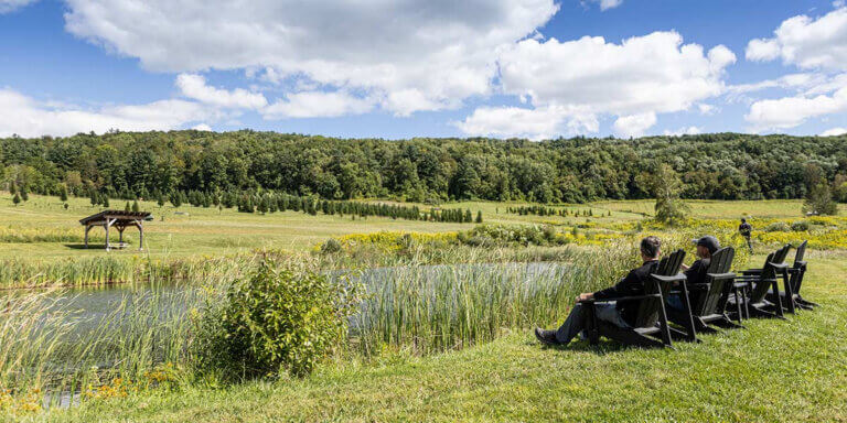 unnamed – 2026-04-03T110350.580 Easter Weekend at Woodlife Farm