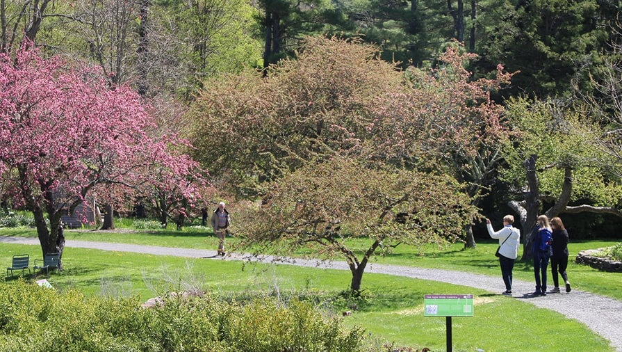 People walk on the trail at Berkshire Botanical Garden