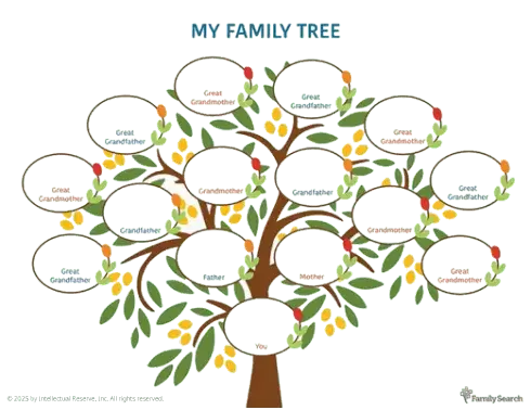 Learn to research genealogy with OLLI