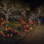 People view the lit pumpkin show at Naumkeag for Halloween.
